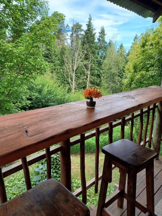 Maple Grove Hogsback Exterior foto