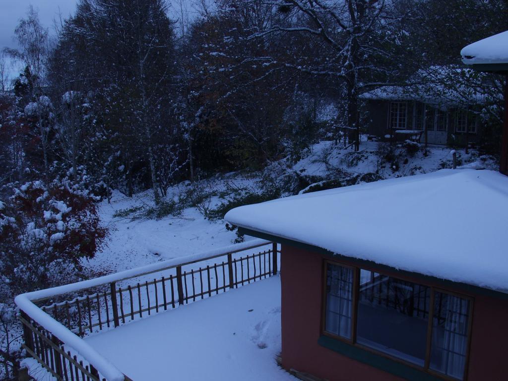 Maple Grove Hogsback Quarto foto