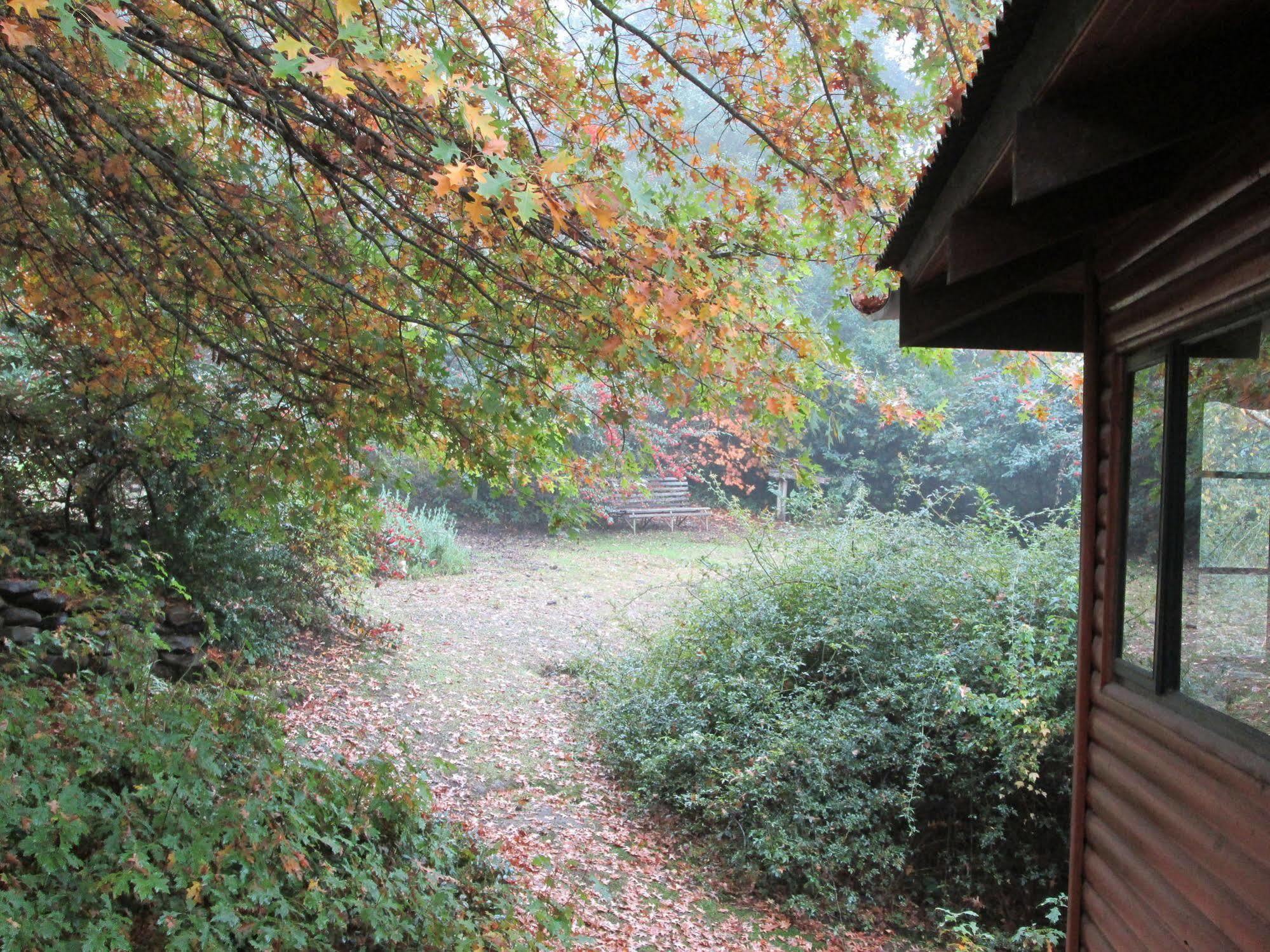 Maple Grove Hogsback Exterior foto