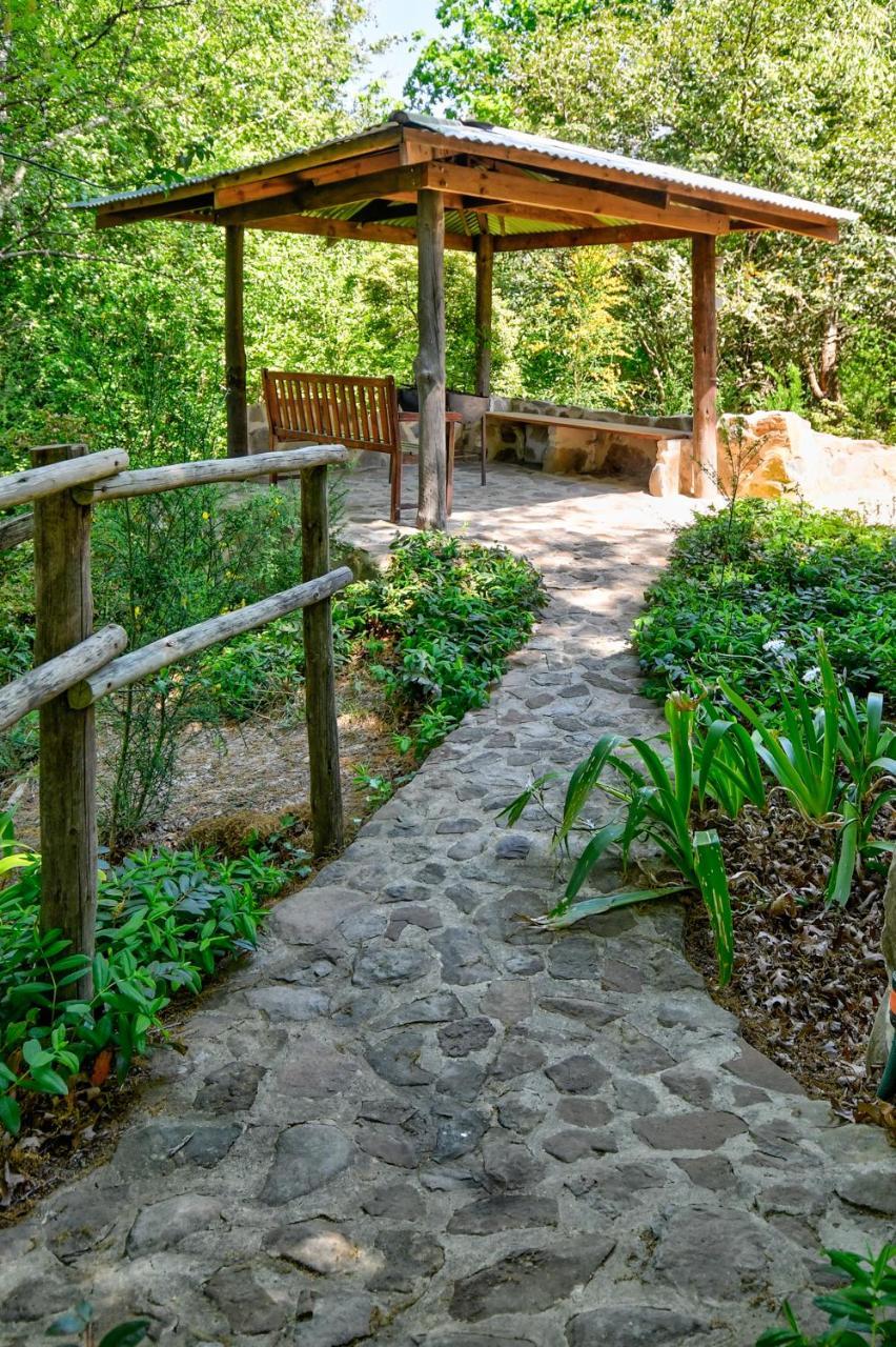 Maple Grove Hogsback Exterior foto